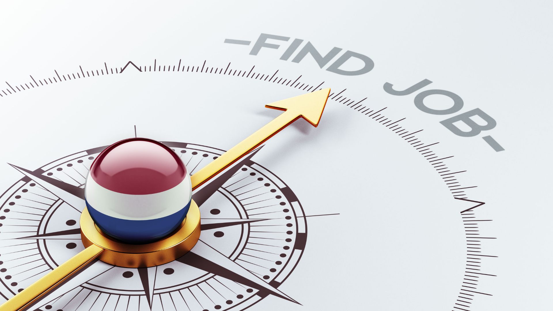 Your job search journey in the Netherlands
